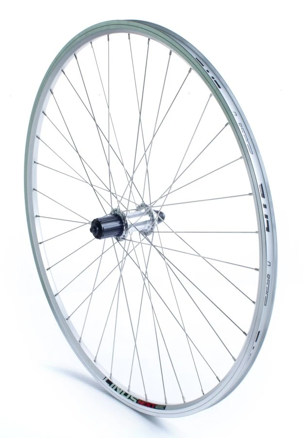 Baghjul Linus 700c 8/9/10 Cassette Db Linus Next Fælg Sølv 1 Baghjul Linus 700c 8/9/10 Cassette Db Linus Next Fælg Sølv