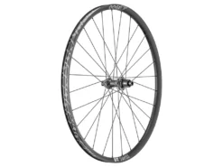 Dt-swiss DT Swiss E1900 Spline 20 29" Baghjul Boost Micro Spline