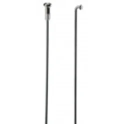 Dt-swiss Eger DT Swiss 2,0 X 150 Mm Rustfri