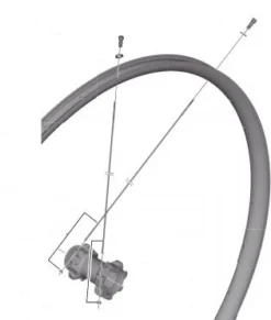 Shimano Eger M8000 29" Baghjul 300 Mm