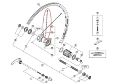 Shimano WH-7900-C24-TL-R 304 Mm Eger